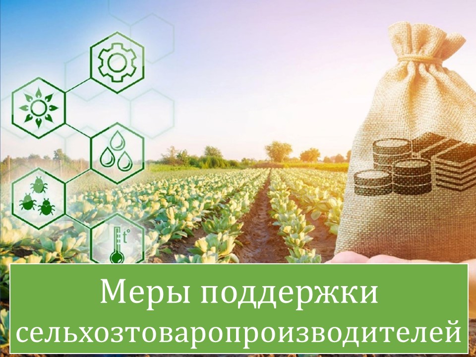Меры поддержки сельхозтоваропроизводители.