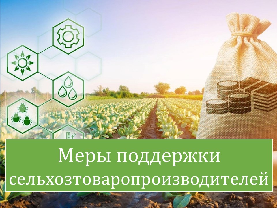 Меры поддержки сельхозтоваропроизводителей.